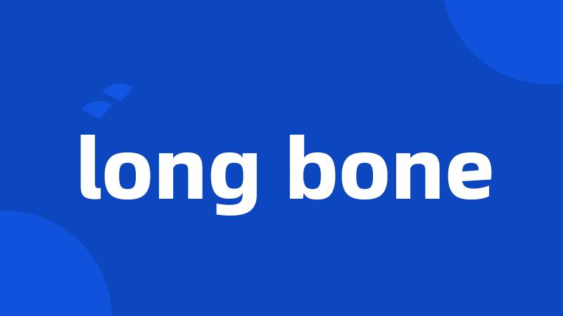 long bone