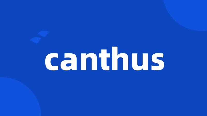 canthus