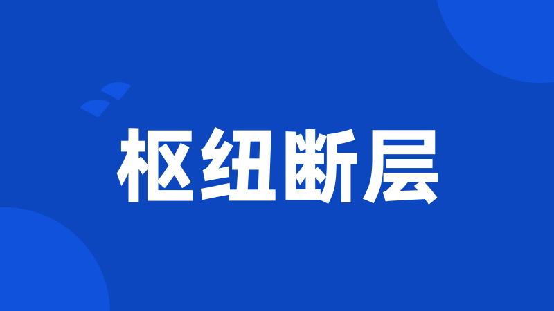 枢纽断层