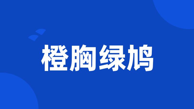 橙胸绿鸠