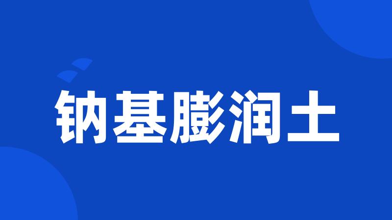 钠基膨润土