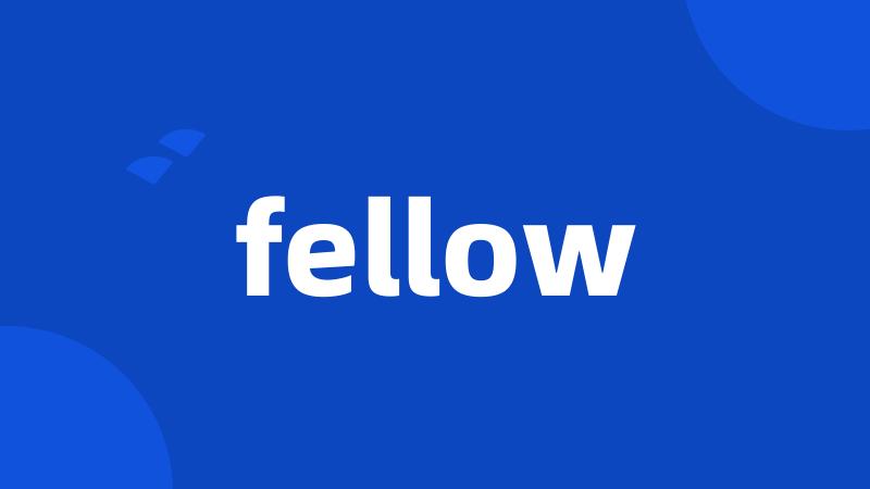 fellow