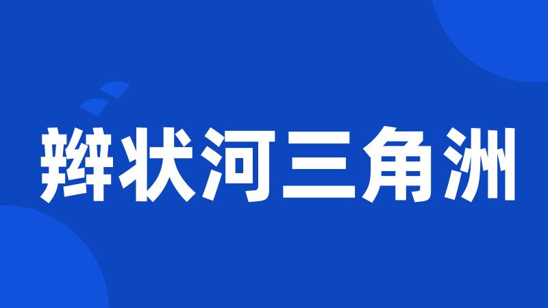辫状河三角洲