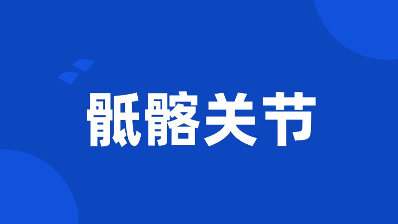 骶髂关节