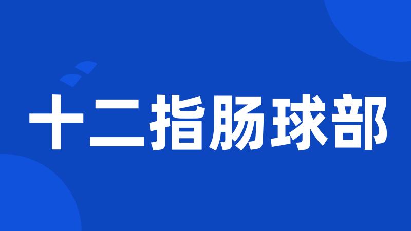 十二指肠球部