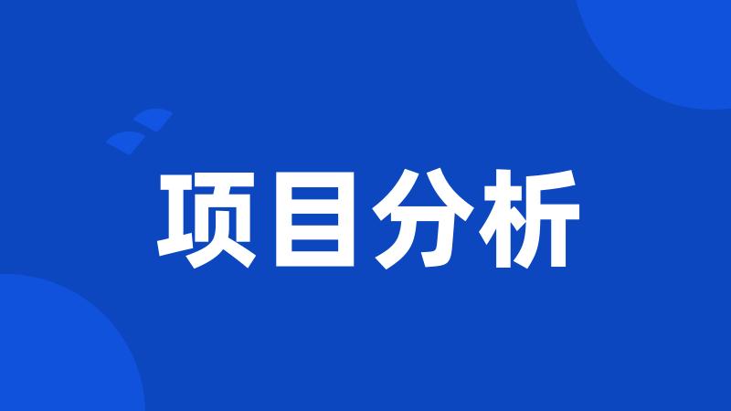 项目分析