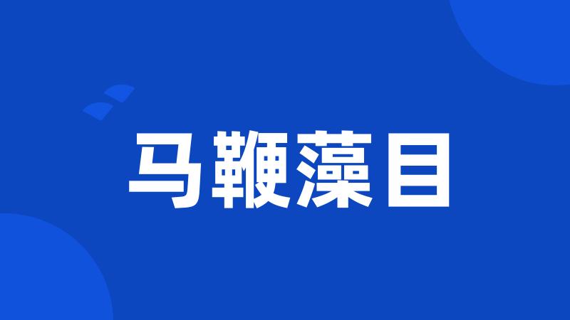 马鞭藻目