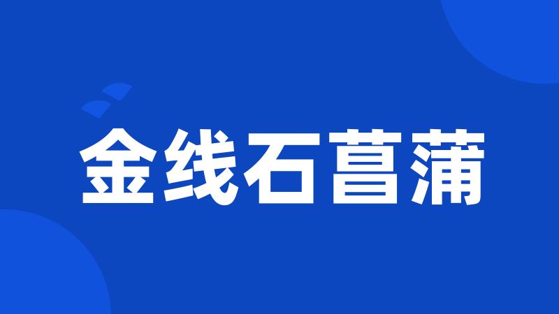 金线石菖蒲