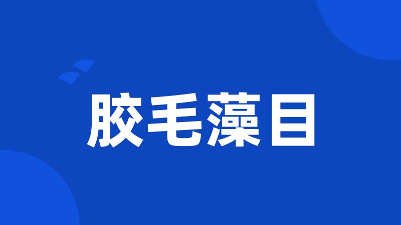 胶毛藻目
