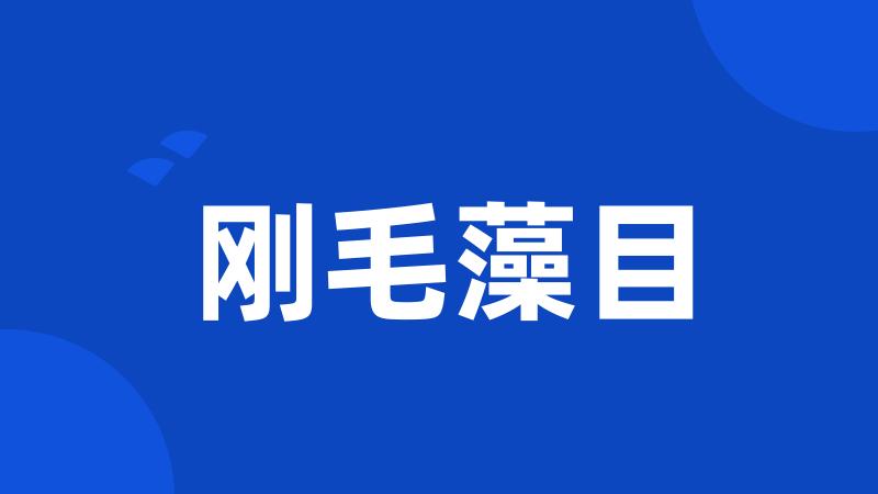 刚毛藻目