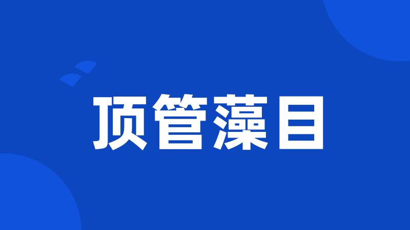 顶管藻目