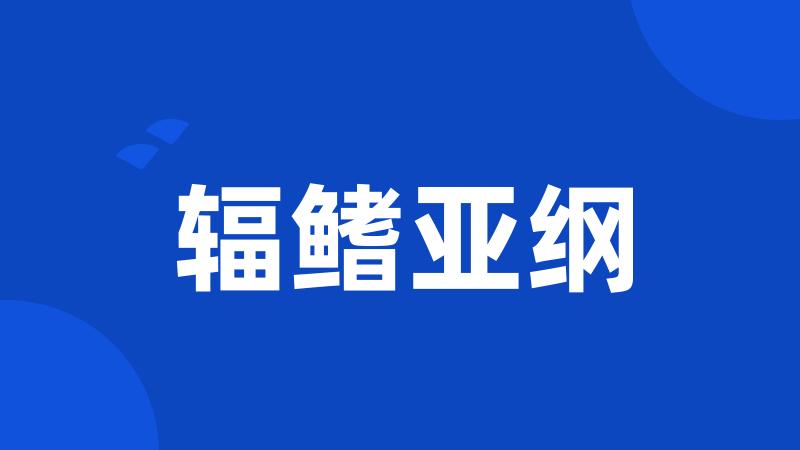 辐鳍亚纲