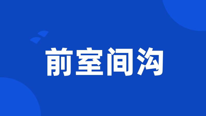 前室间沟