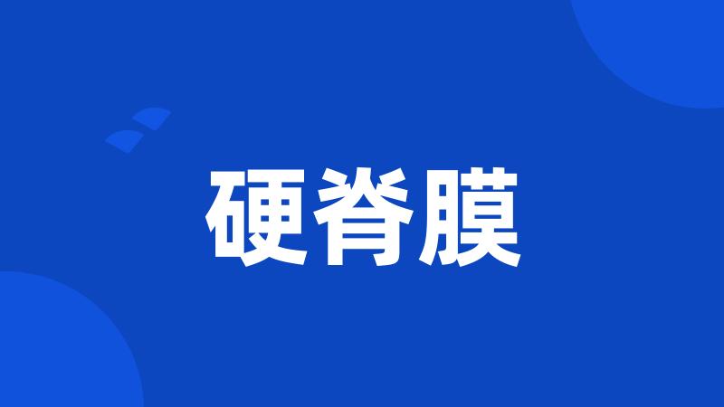 硬脊膜