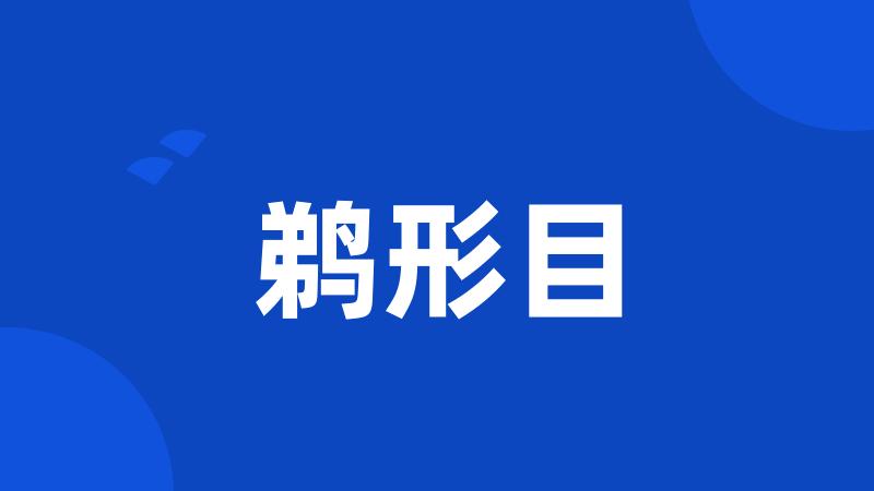 鹈形目
