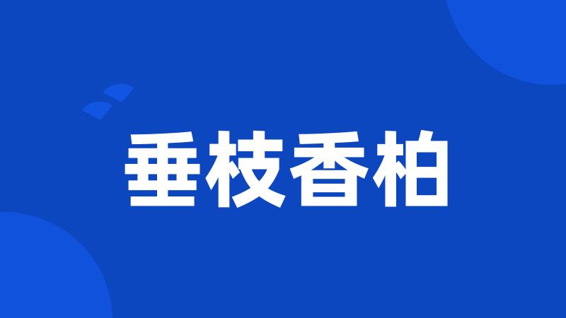 垂枝香柏