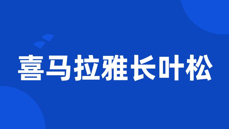 喜马拉雅长叶松