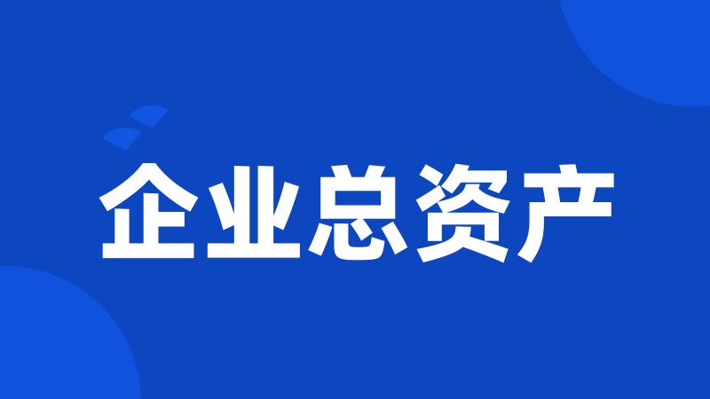 企业总资产