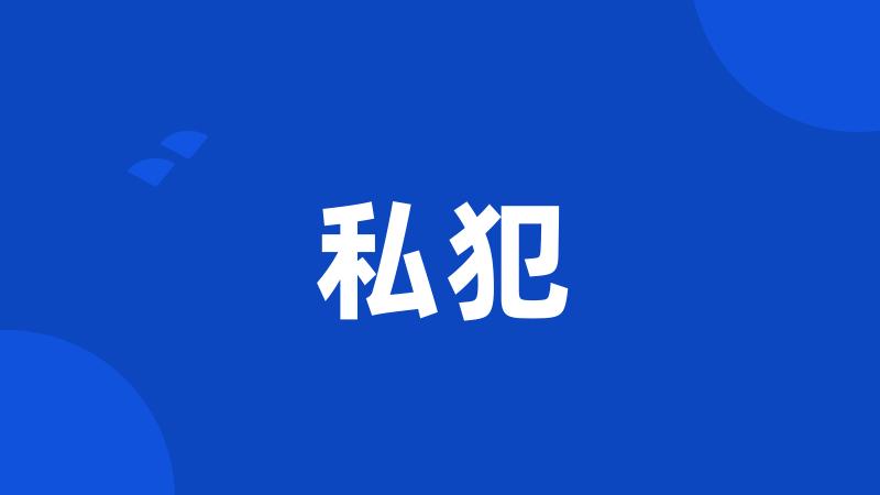 私犯