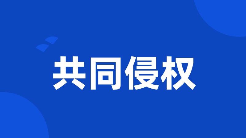共同侵权