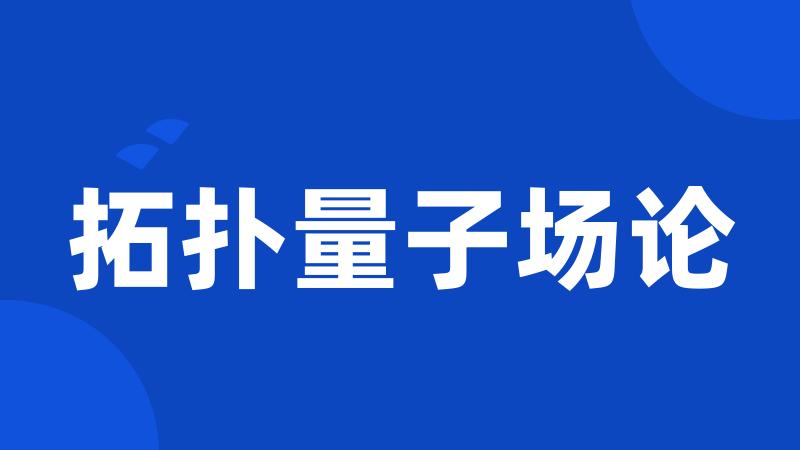 拓扑量子场论