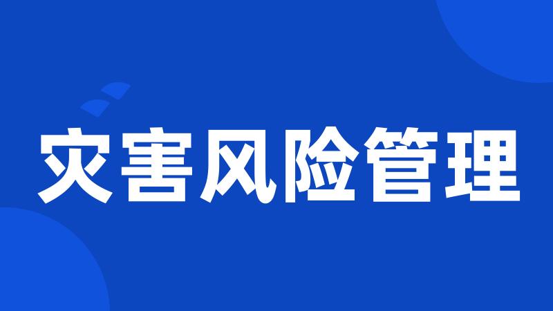 灾害风险管理