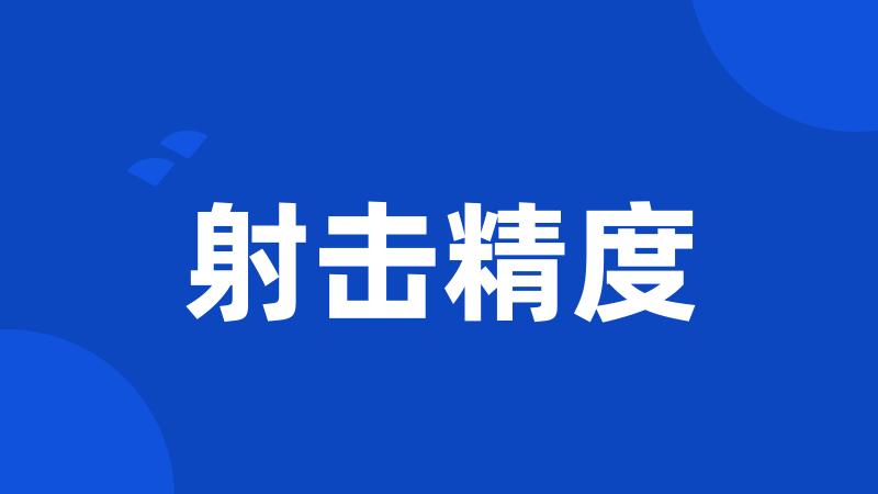 射击精度