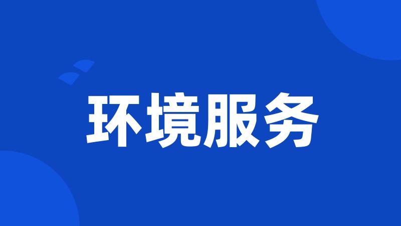 环境服务