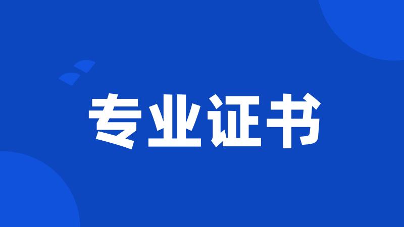 专业证书