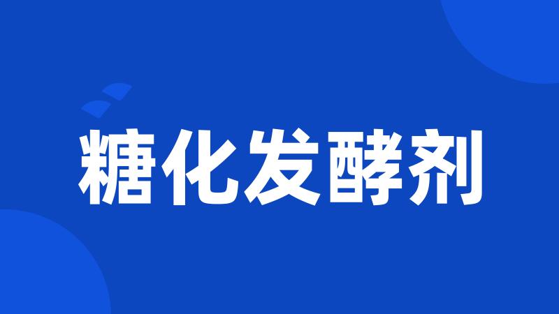 糖化发酵剂