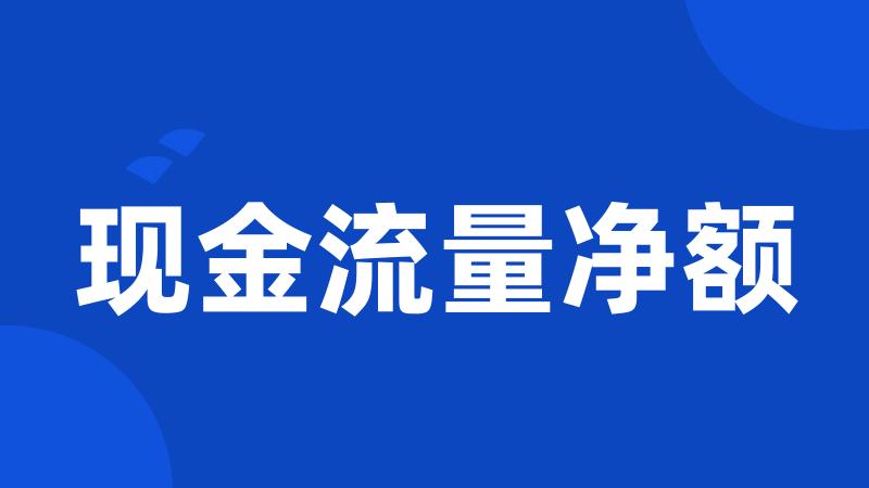 现金流量净额