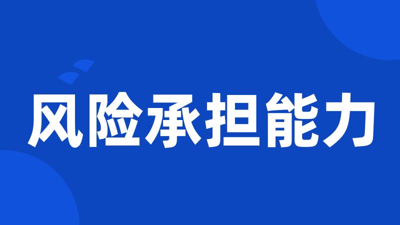 风险承担能力