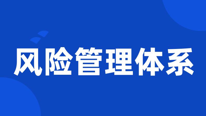 风险管理体系