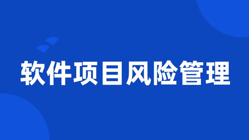 软件项目风险管理