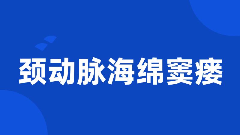 颈动脉海绵窦瘘