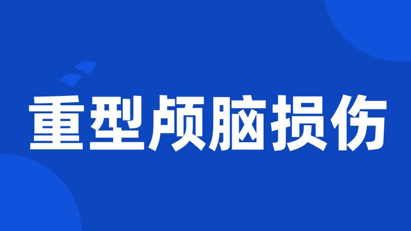 重型颅脑损伤