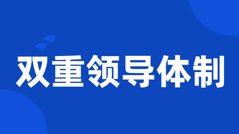双重领导体制