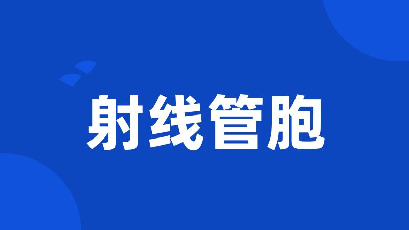 射线管胞
