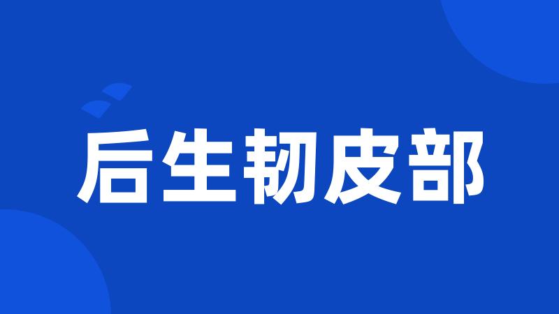 后生韧皮部