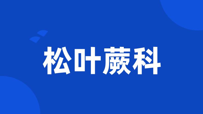 松叶蕨科