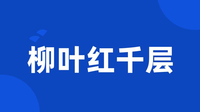 柳叶红千层