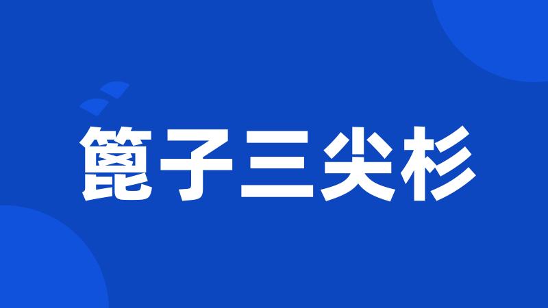 篦子三尖杉