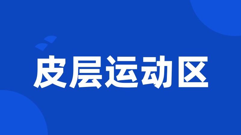 皮层运动区