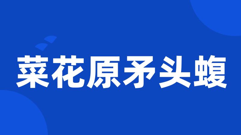 菜花原矛头蝮