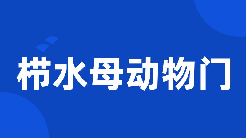 栉水母动物门