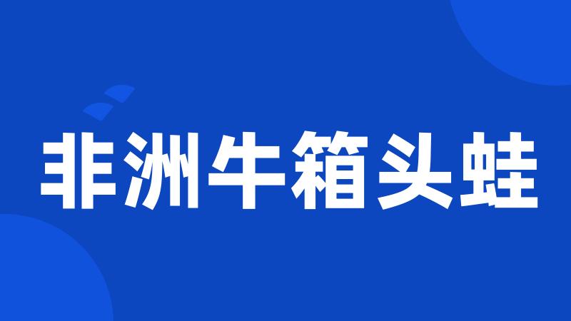 非洲牛箱头蛙