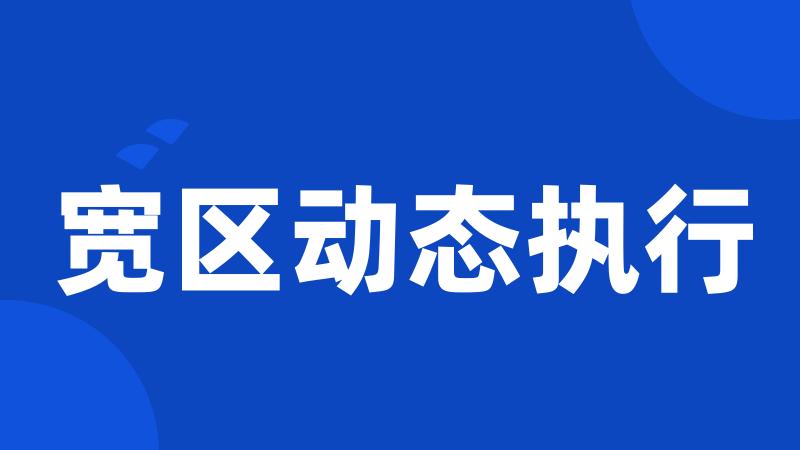 宽区动态执行