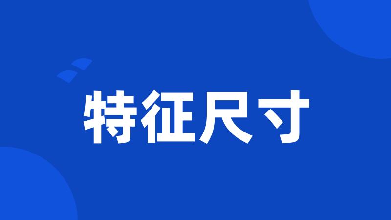 特征尺寸