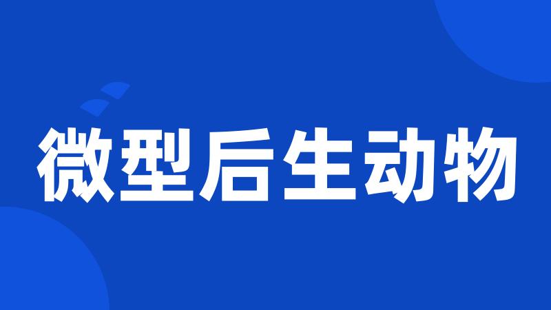 微型后生动物