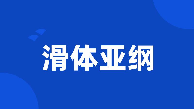 滑体亚纲